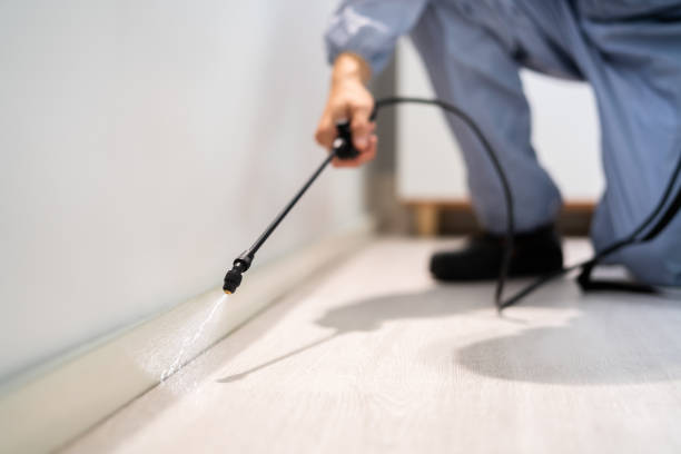 Licensed Termite Control service in Mount Carmel, TN - Nex Pest Control
