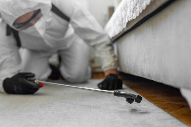Professional Termite Control technician working in Mount Carmel, TN