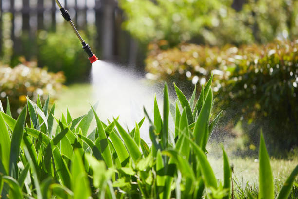 24/7 Emergency Termite Control experts in Mount Carmel, TN
