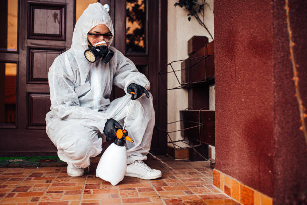 Reliable Termite Control contractor in Mount Carmel, TN by Nex Pest Control