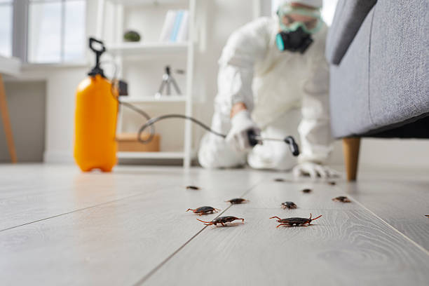 Trusted Termite Control service in Mount Carmel, TN - Nex Pest Control